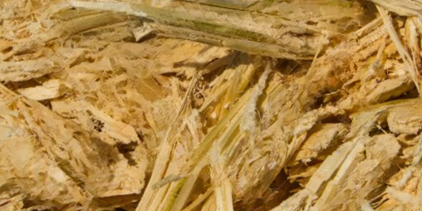 ----41142795-ezgif.com-webp-to-jpg-converter_cleanup