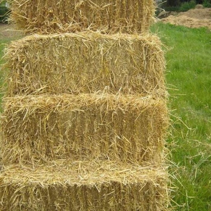 d6a3e2dc8d1ed401f8895087b6